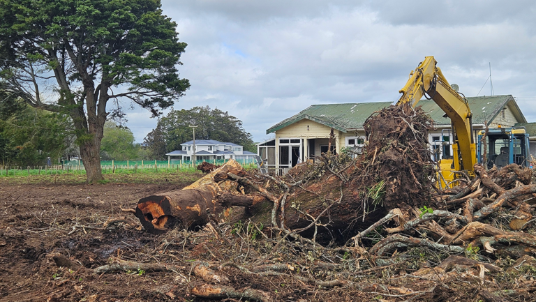 20251010 14534 768x433