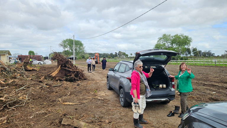 20251010 145346 768x433