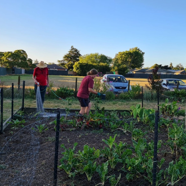 Rollerson Park 768x768