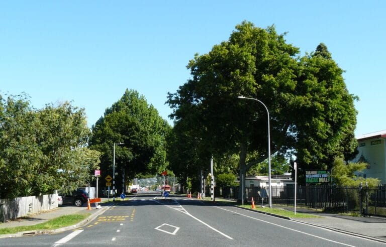 TRAG Photo 1 768x492