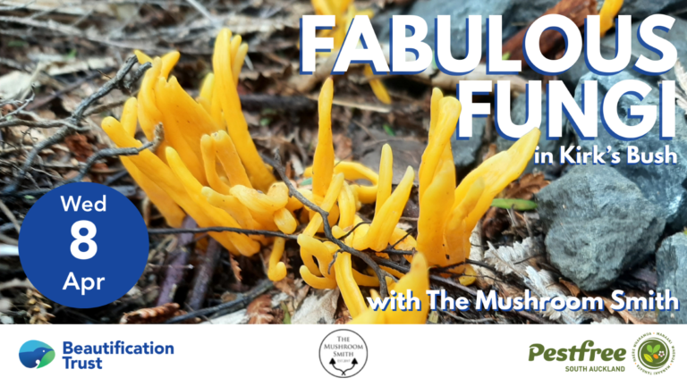 Mushroom Walk event cover resized 768x432